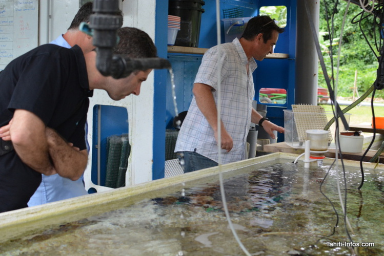 Un centre de technologies sous-marines à Tahiti : le projet HUS se présente
